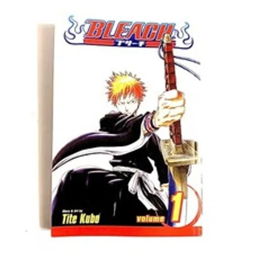 Bleach Vol. 1