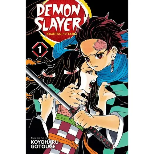 Demon Slayer Vol. 1